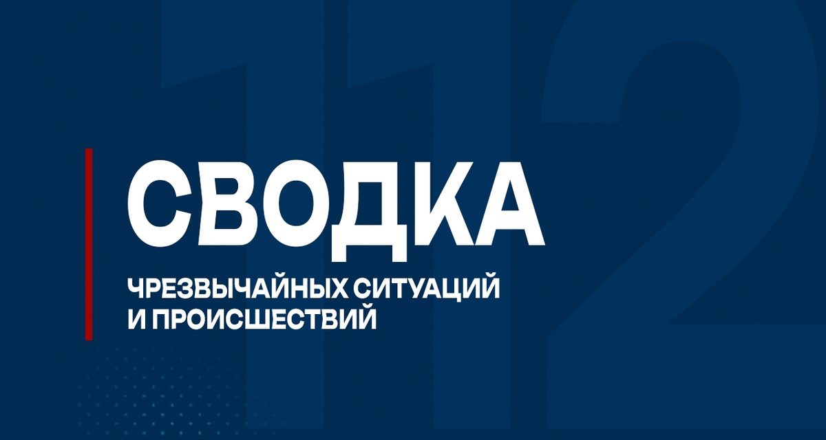 У деревни Суходол из Ветлуги извлекли тело мужчины в необорудованном для купания месте