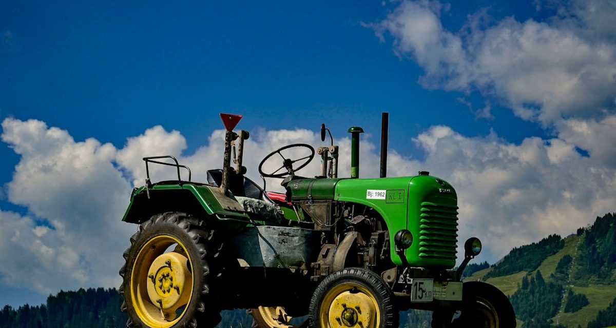 «Покупатель» мини-трактора выманил у жительницы Медведевского района 90 тысяч рублей